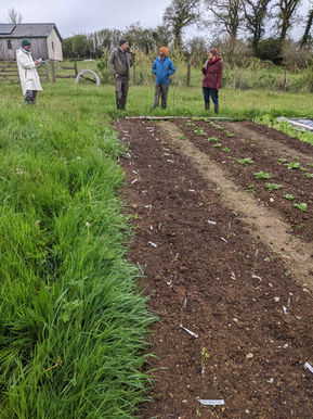 site visit advisory sessions for tree nursery enterprises
