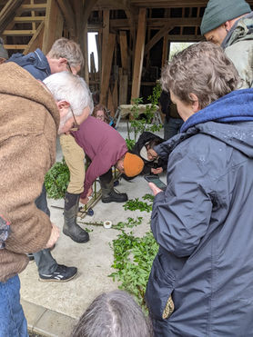 Chip Budding Workshop