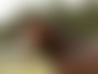 Lillie Langtry by Apollitical Blood, Qualifies to the Oklahoma Horseman's Mystery Derby