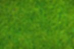 close-up-image-fresh-spring-green-grass.jpg