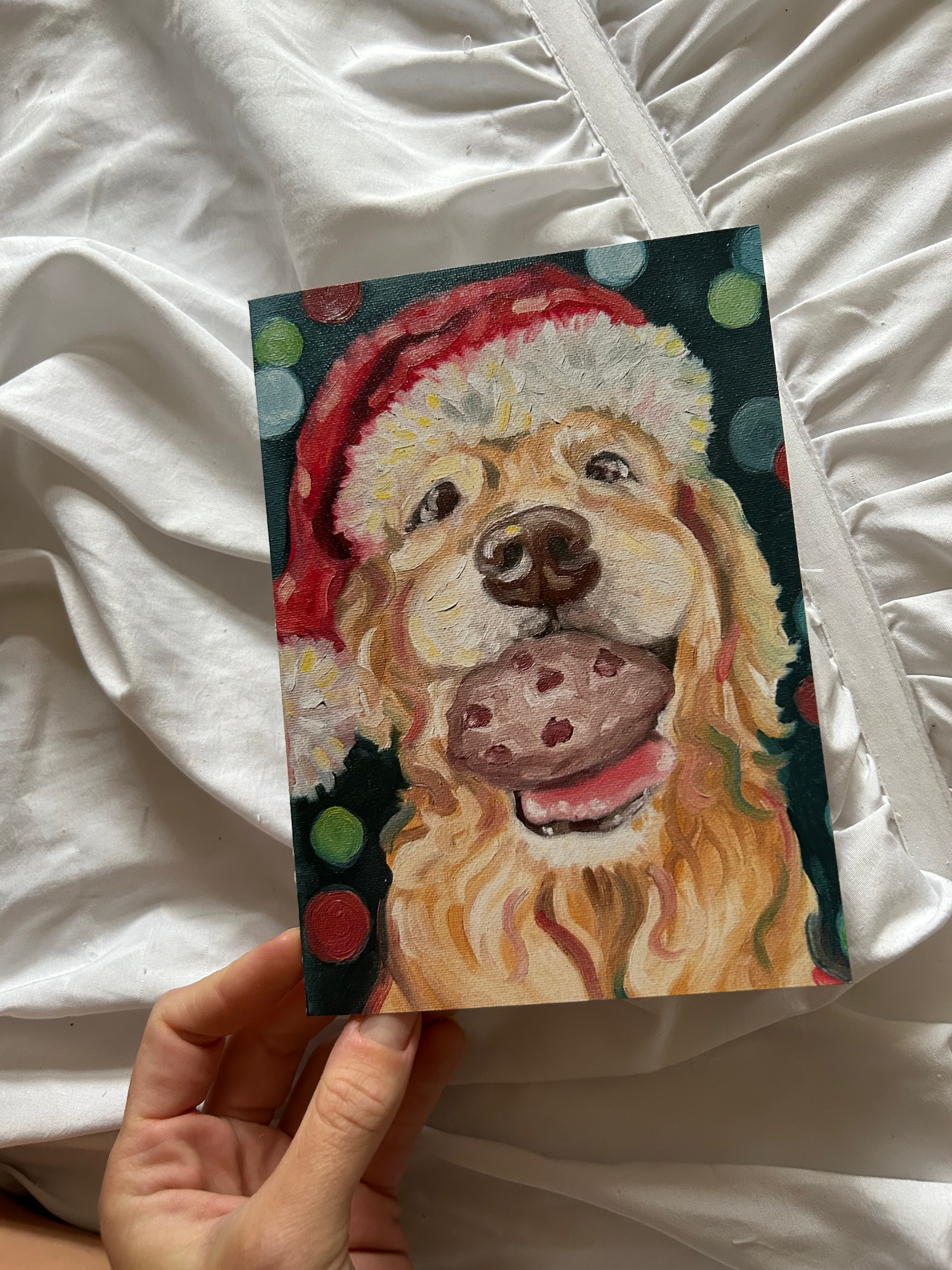 Santa's Cookie Thief