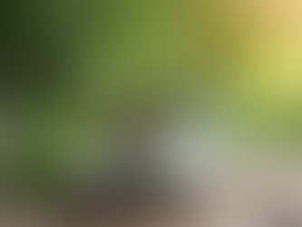 How to Get Your Heart in Shape Without Running: The Hilarious Guide to Herbs, Oils, and Foot Detoxes