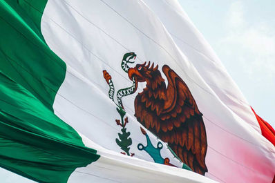 El Estado 33: Un Planteamiento Innovador para la Diáspora Mexicana