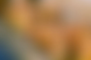 En 1992, miles de patitos de goma se perdieron en el Pacífico e iniciaron el viaje más fascinante...