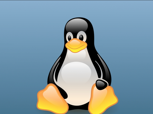 'Versionitis' en Linux: los números de versión nunca importaron, y siguen sin hacerlo