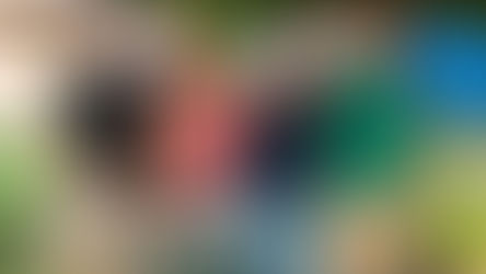 The Border That Truly Adds Value: The Quiet “Boom” of Student Exchanges