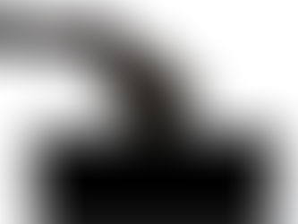 Democracy at a click. How Mexico and the U.S. are rewriting citizen participation in 2025