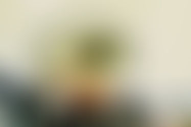 From Jalisco to Texas, the soft power of mariachi, tequila, and tradition