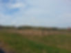 Rhorsearena1