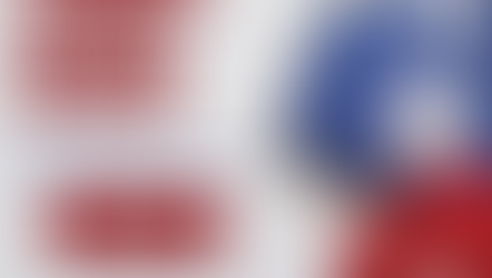 🐾 Primeros Auxilios Caninos: porque la prevención también salva vidas