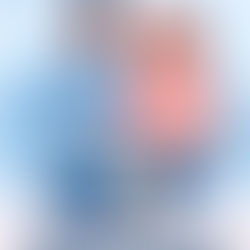 ✈️ Traveling with your pet: procedures, tips, and well-being