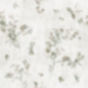 Foggy Dragonflies.jpg