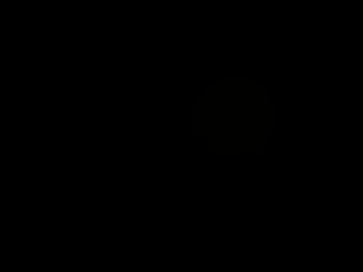 蛍