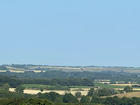IMG_0374.jpeg