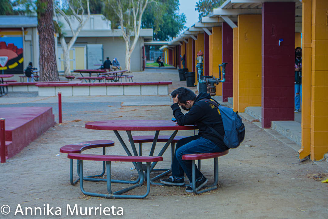 Boy reading in Quad