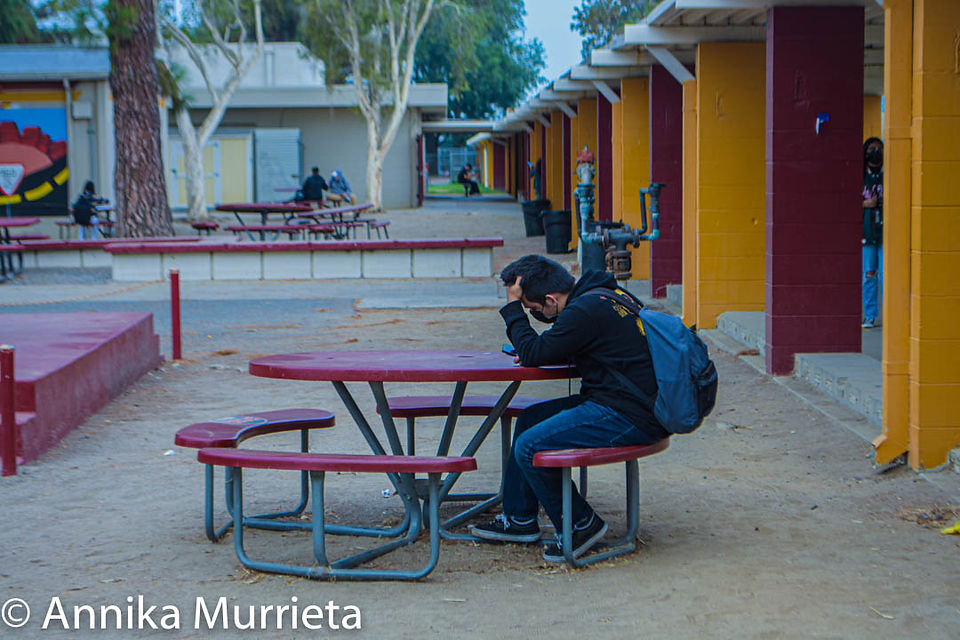 Boy reading in Quad