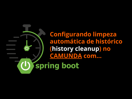 Configuração de Limpeza de Histórico (History TTL) no Camunda com Spring Boot