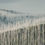 Thumbnail: Blue Art Abstract Trees Landscape