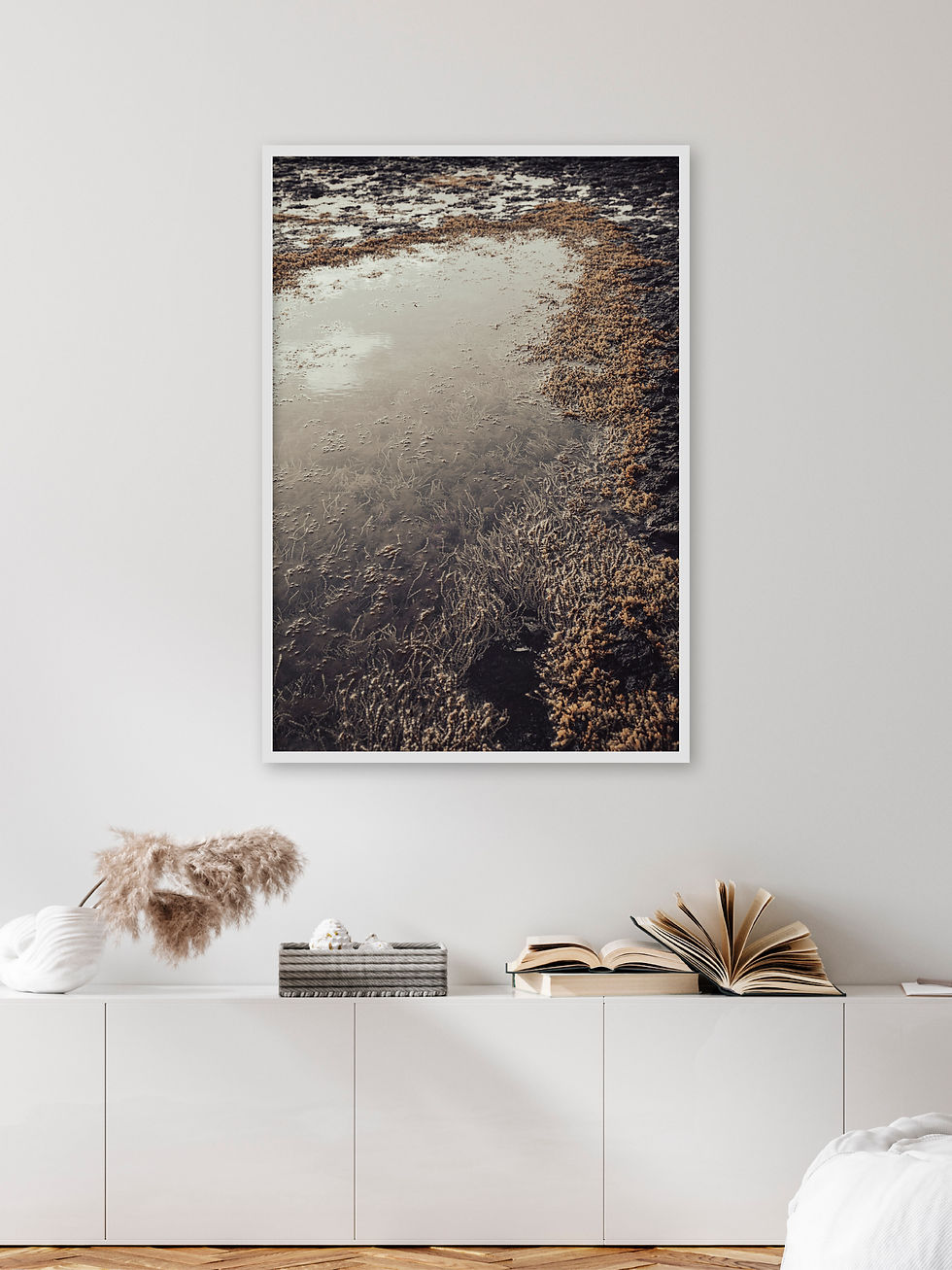Thumbnail: Rockpool 02, Christine Goerner Photography, Photography, Rockpool