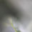 Thumbnail: Art, Abstract Art, Fine Art Photography, Limited Edition Print, Swoon