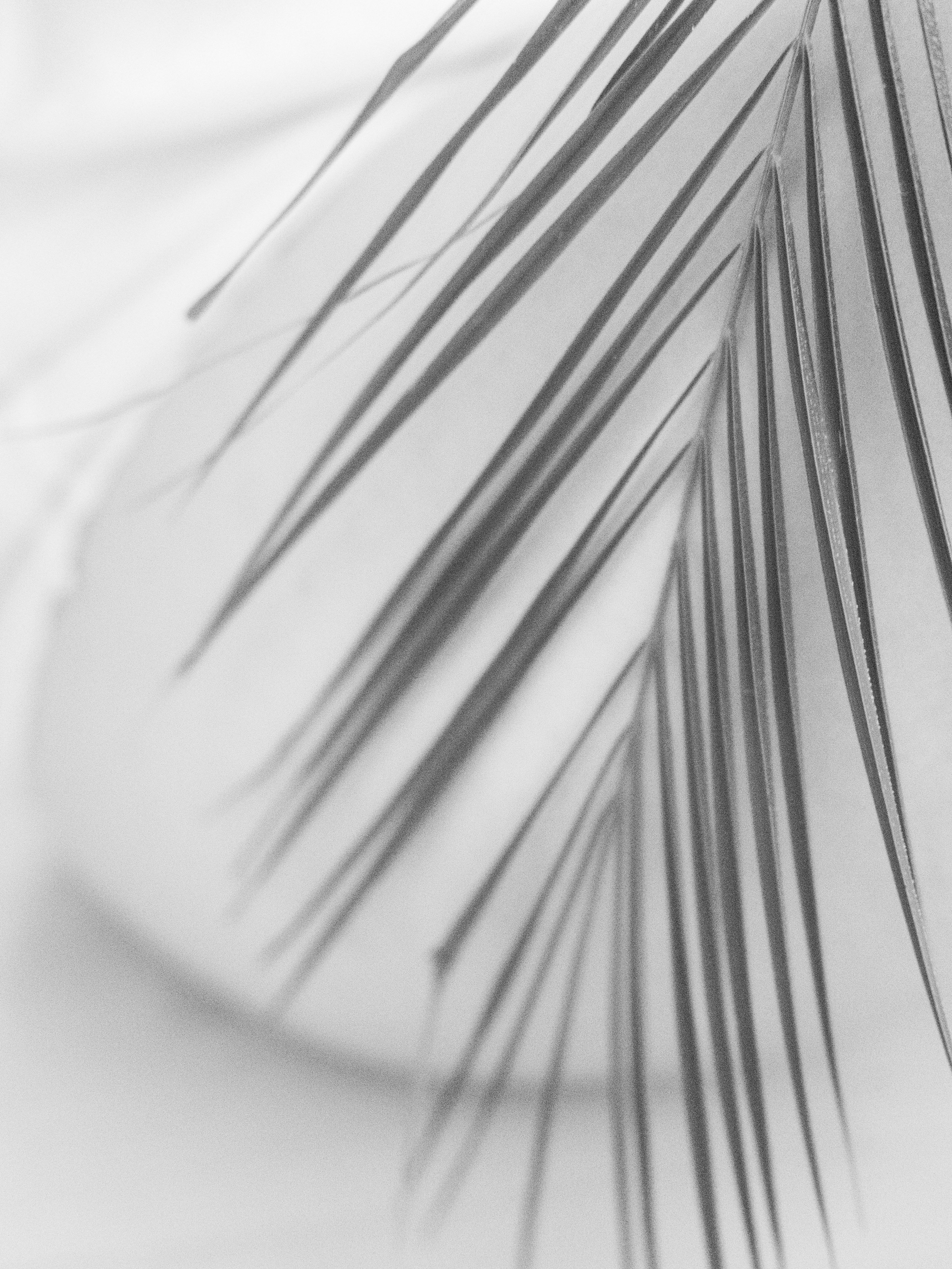 INTIMACY #4