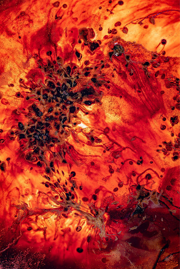 PARTICLE ESPRESSO