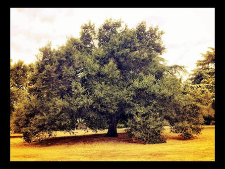 The Infiniteness of Identity