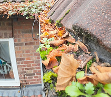 Gutter cleaning service near me leicester
