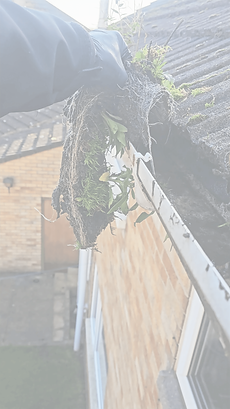 Gutter Cleaning In Leicester, Northampton