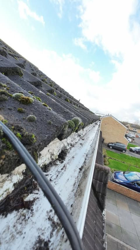 Gutter Cleaning Near Me Eazi Cleaning Solutions LTD