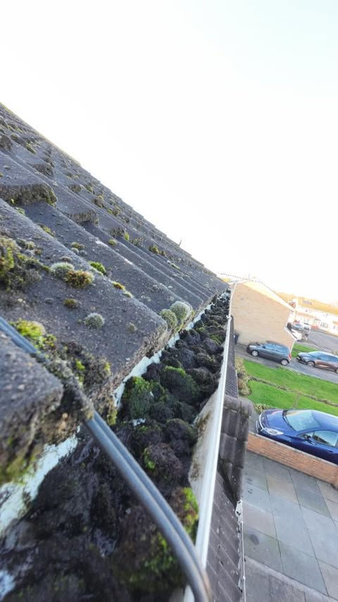 Moss From Gutter Leicester