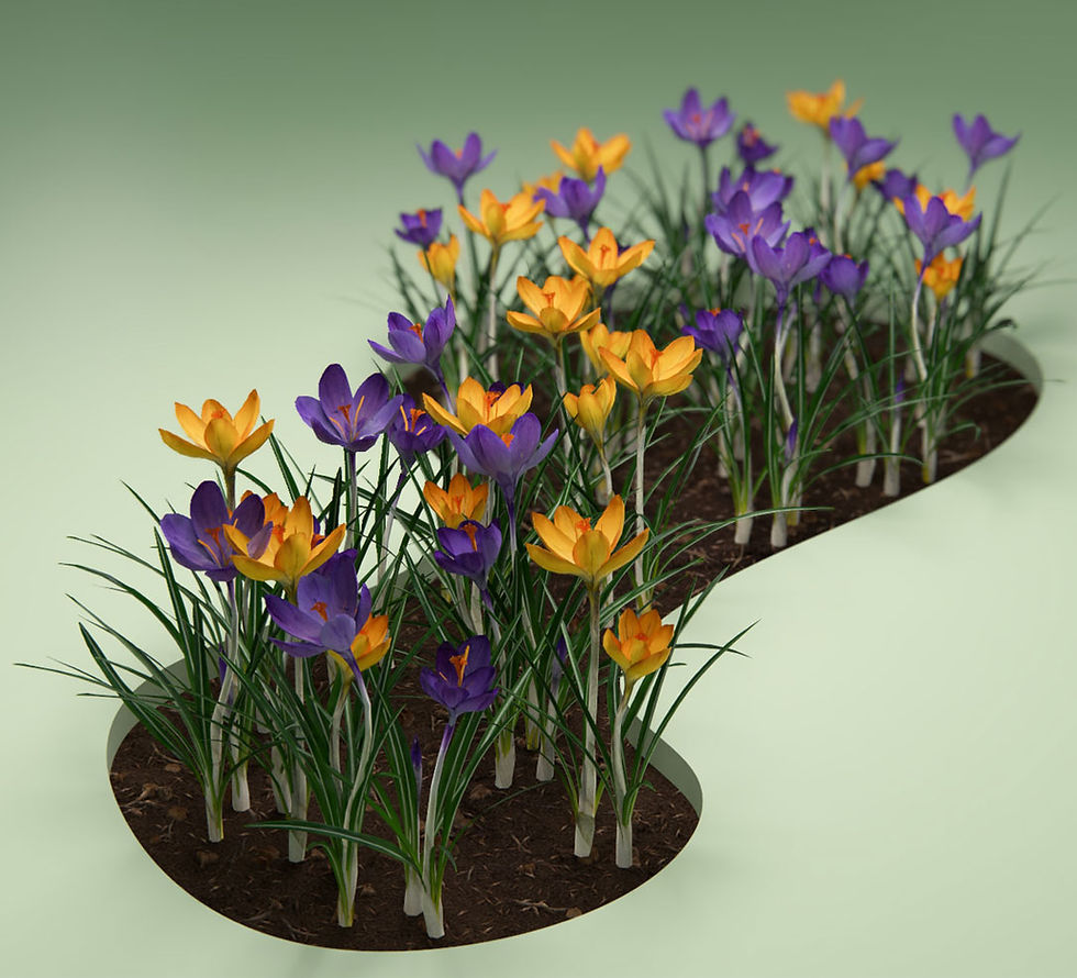 Novos Ativos de Primavera na Lumion Cloud: Como elevar os seus renders 3D feitos no Lumion?