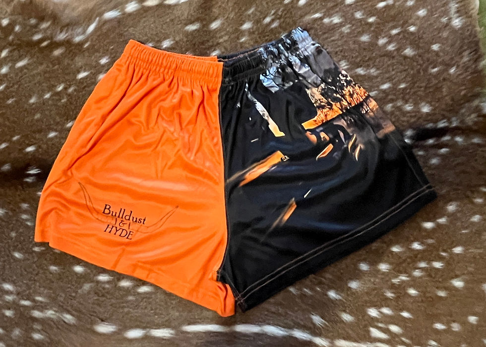 Thumbnail: Sunset Footy Shorts