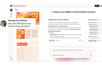 Adobe Acrobat Studio pdfspaces2.png