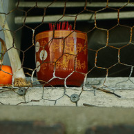 DSC_0669 copy.jpg