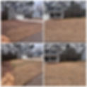 Seasonal Clean Ups.jpg