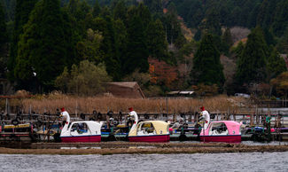 My Three Swans - Lake Ashi
