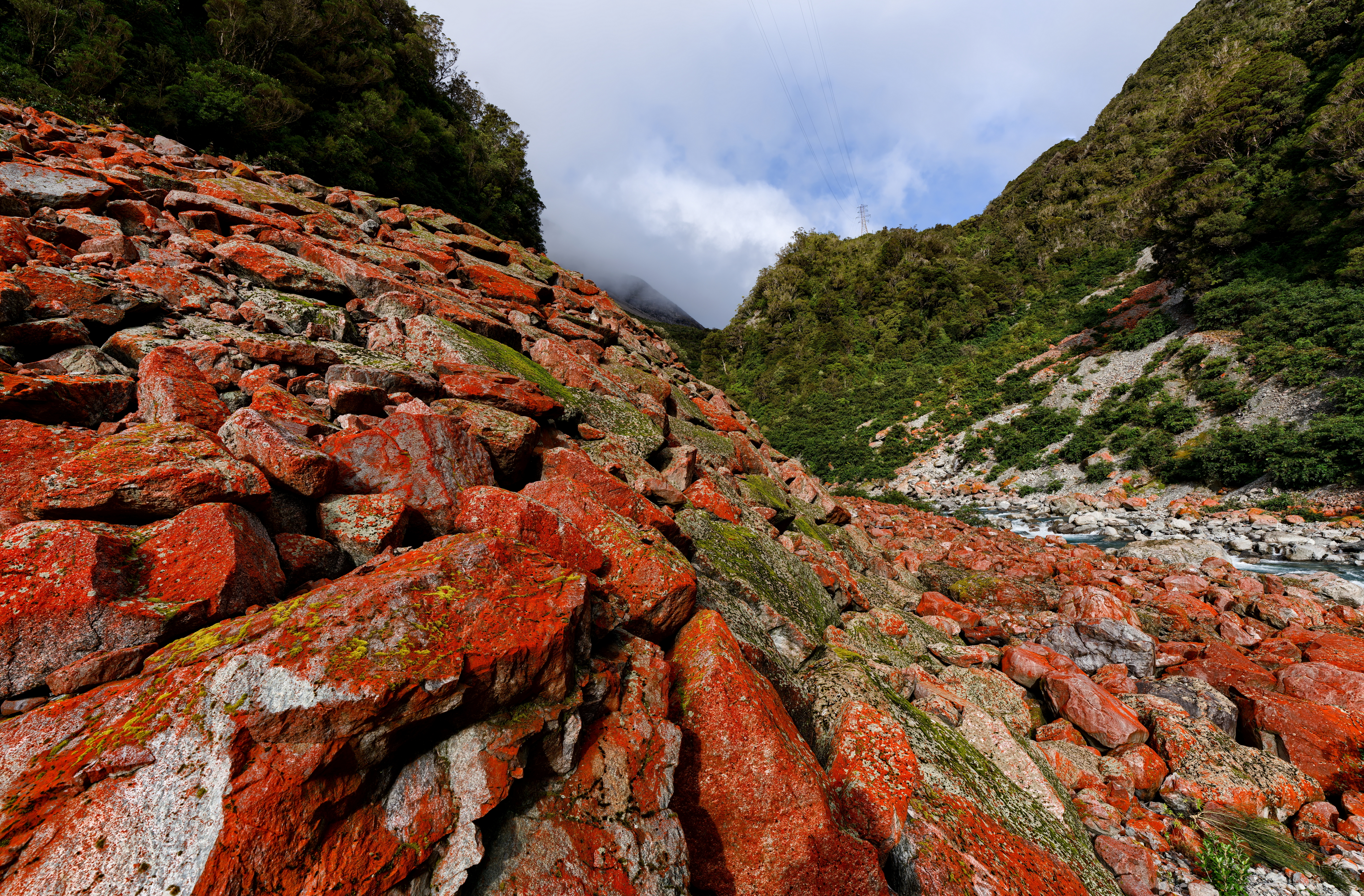 Red Rock Lichen - Near Otira Viaduct