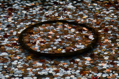 Wishing Well - Tenryu-ji Temple