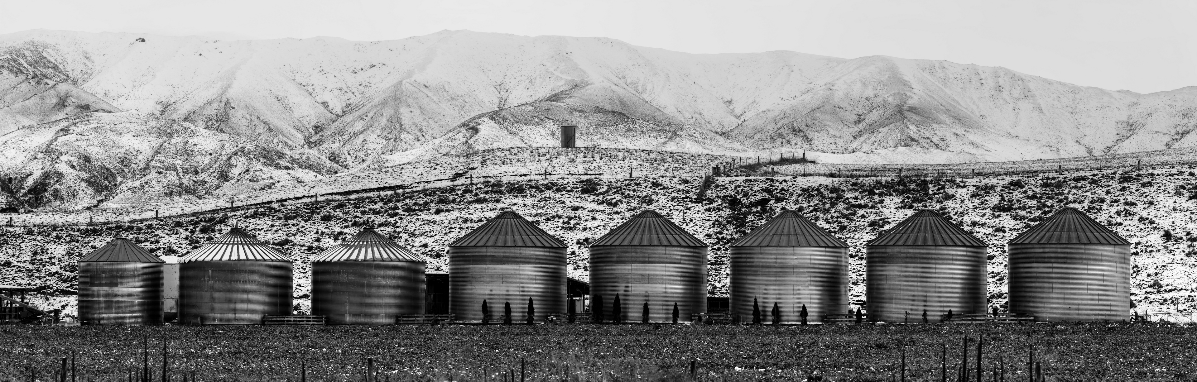 Silo 2025 - Near Fairlie