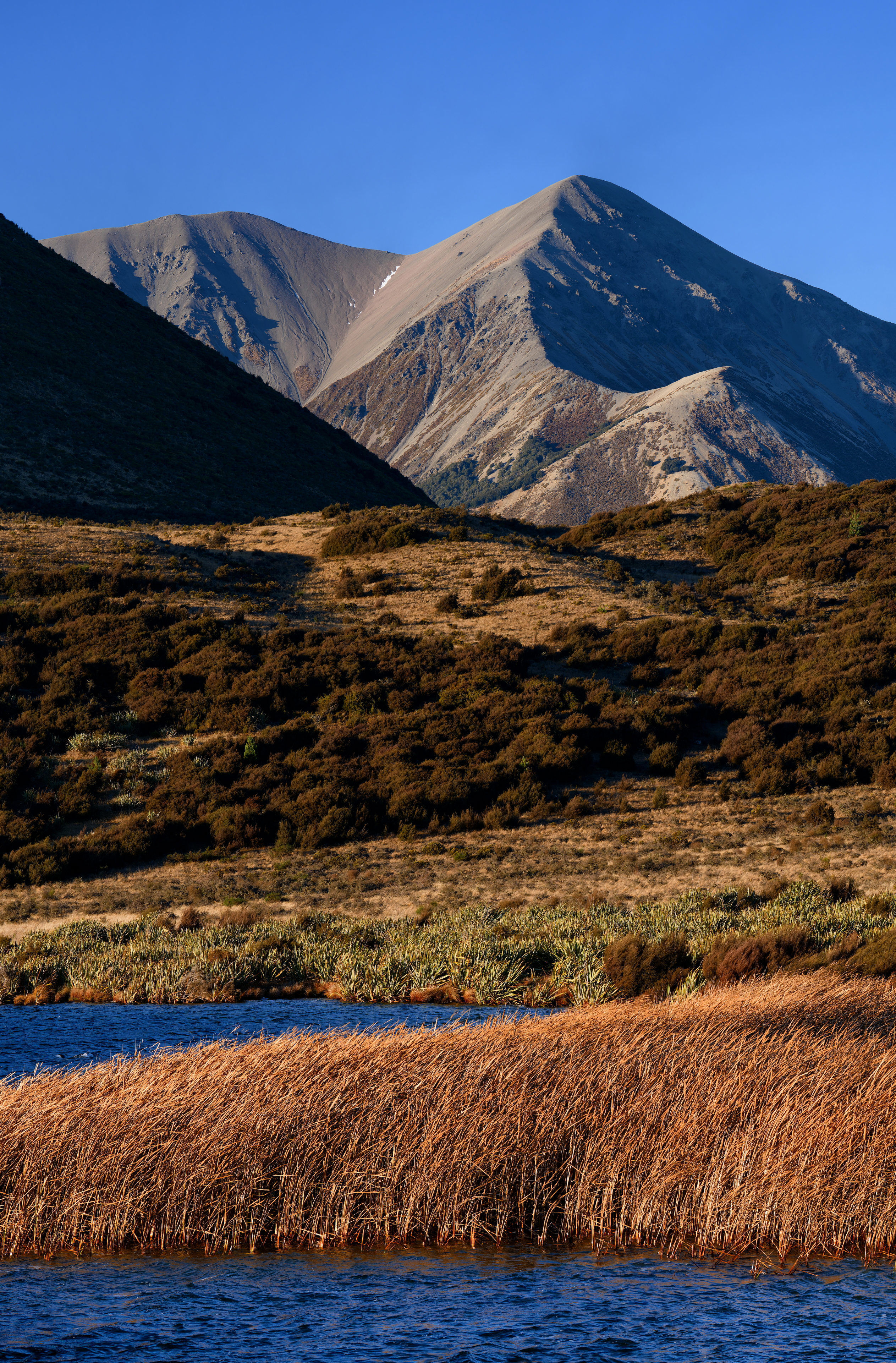 Reeds and Ridges - Lake Sarah