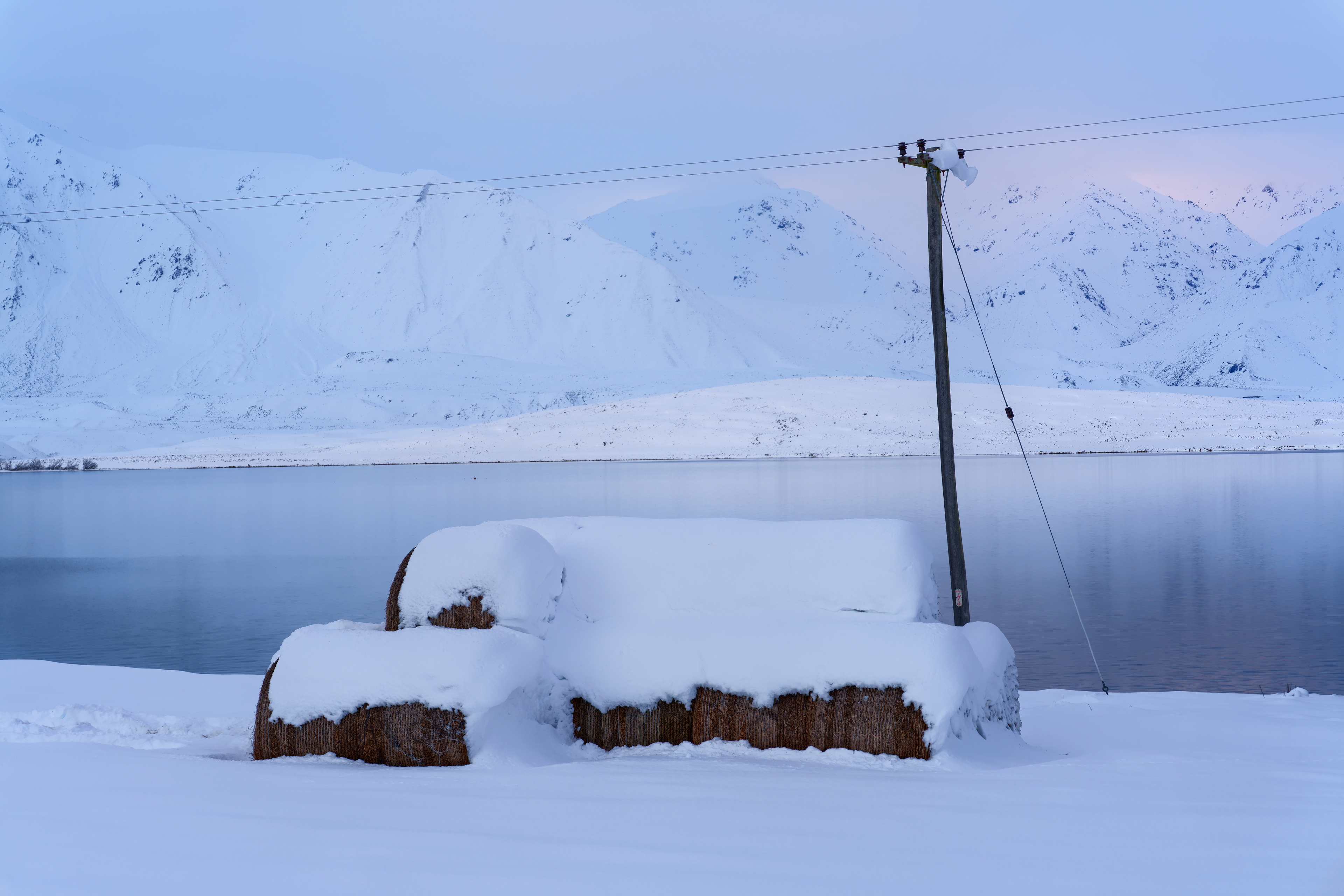 Snow Hay - Lake Heron