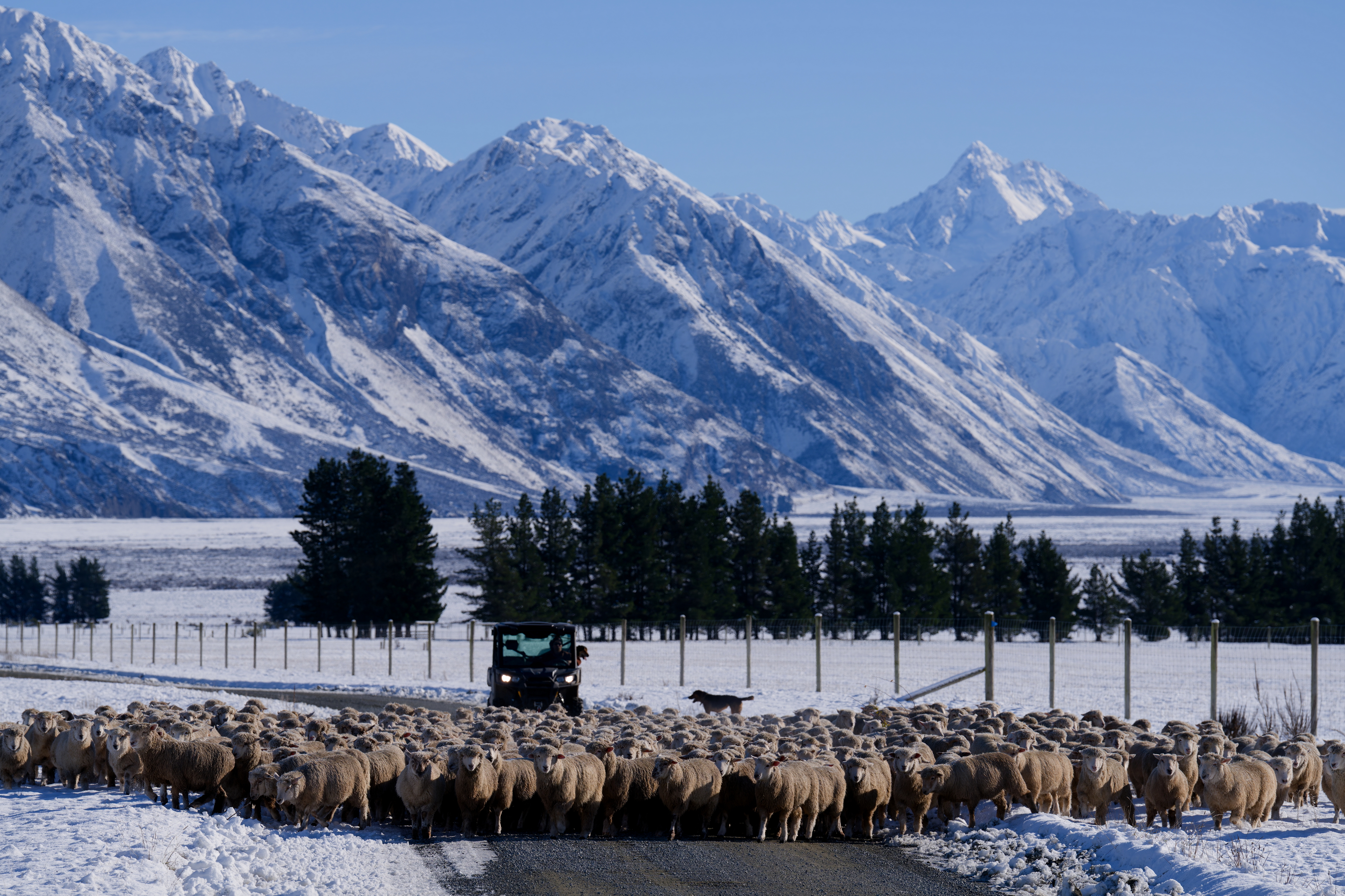 Winter Muster - Upper Rangitata