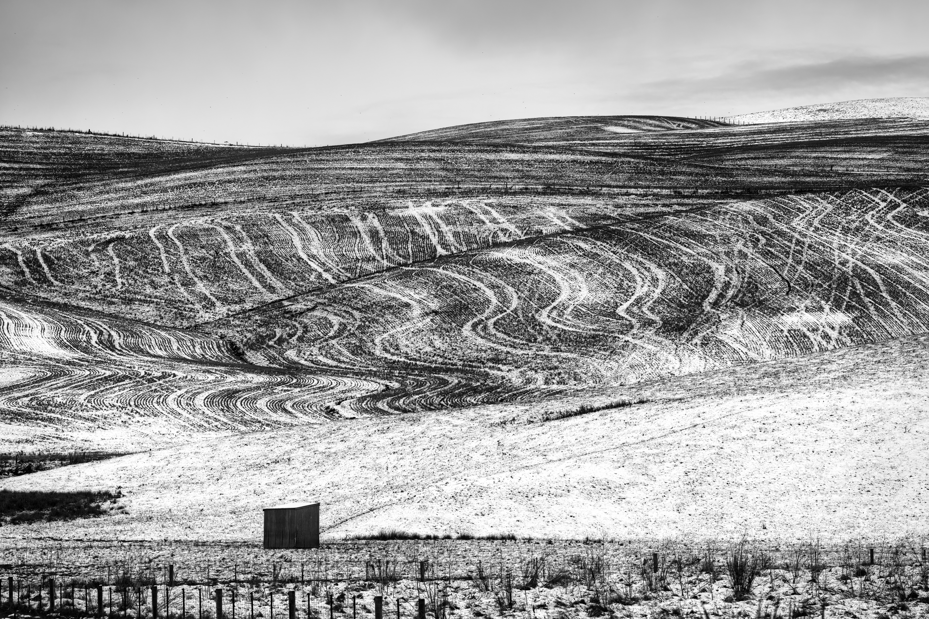 The Snow Shed - Near Fairlie 