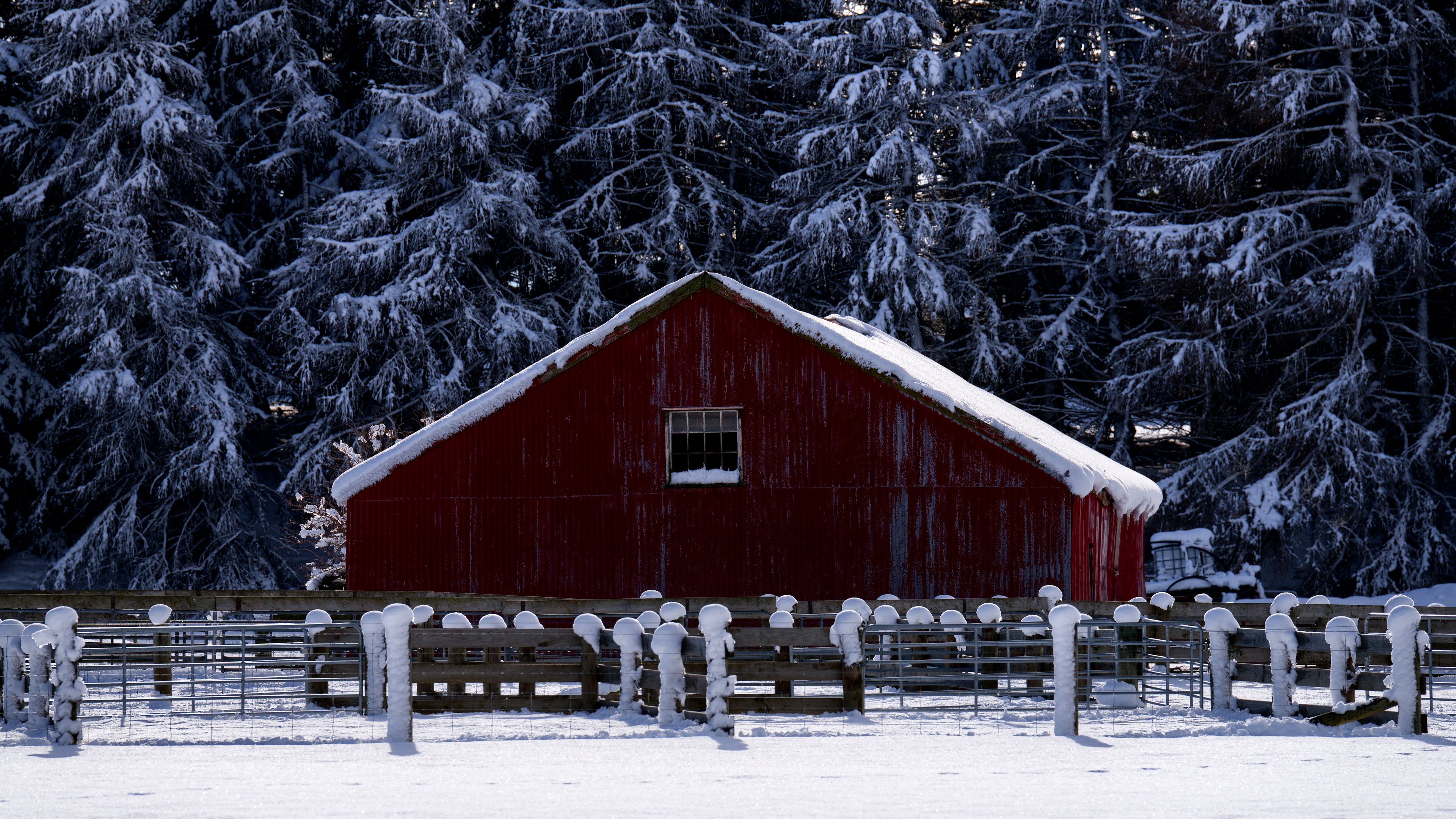 Red Winter Shed - Near Lake Clearwater