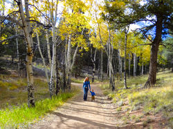 Meuller State Park
