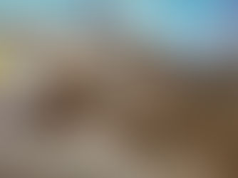 האם מותם של אחרים פלסטינים או אזרחי מדינה אחרת הוא מחיר לגיטימי לשימור שלטון כוח?