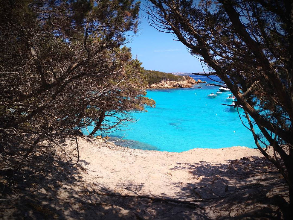 barcos en Mallorca