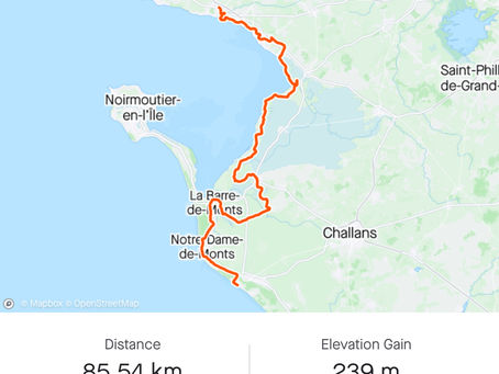 Day 6