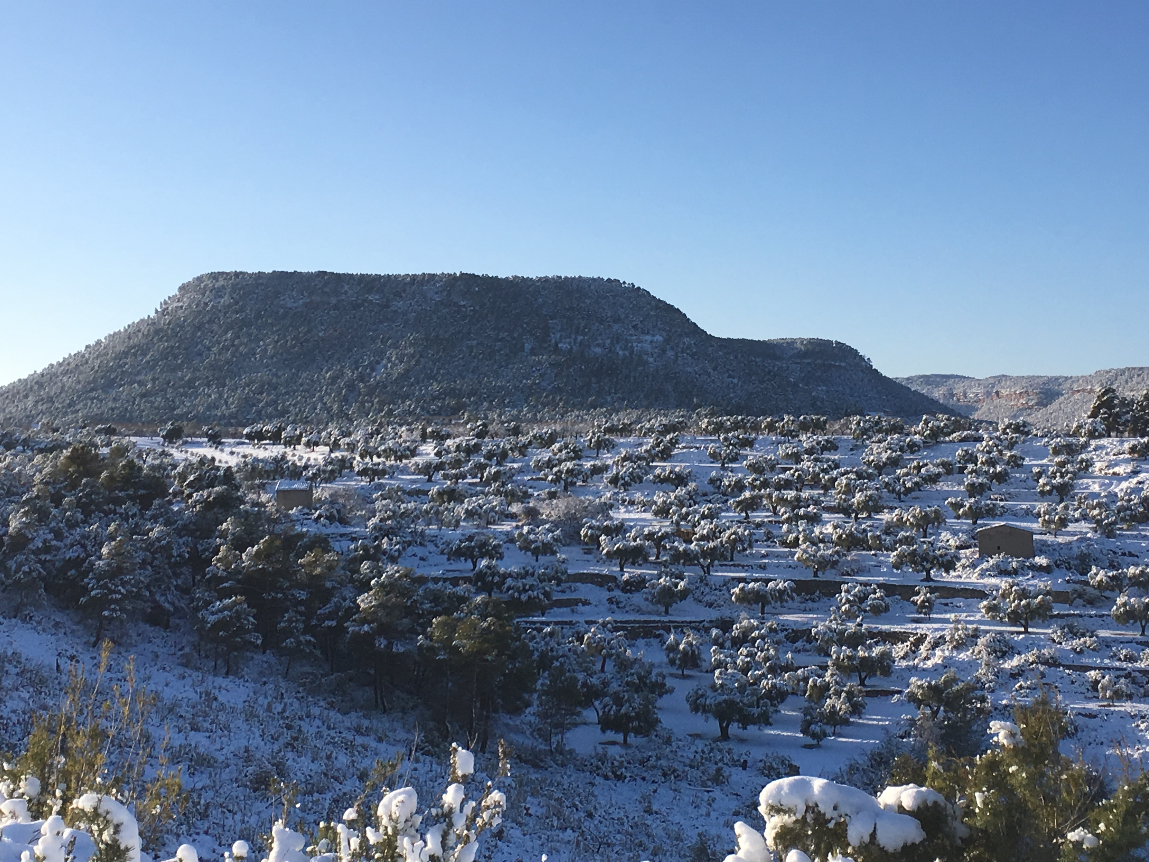 Winter Scenery